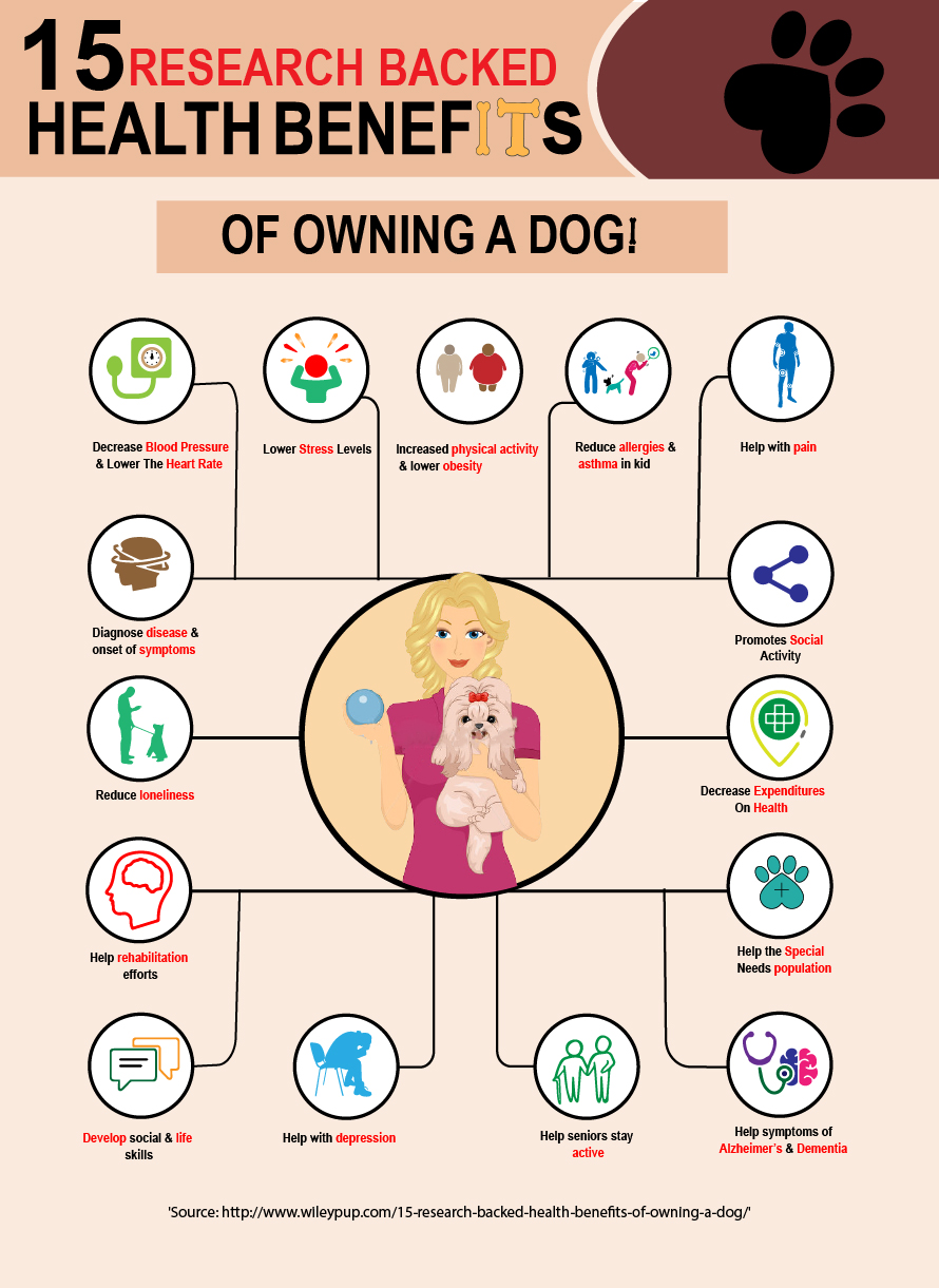 15 Research-Backed Health Benefits of Owning a Dog