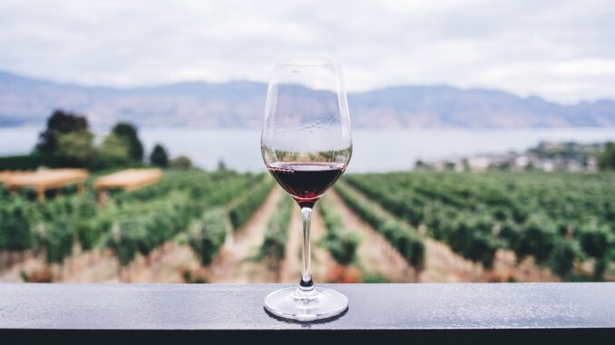 5 Fascinating Facts Few People Know About Wine Production