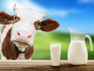 5 Reasons to Avoid Dairy