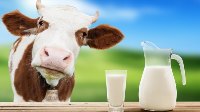 5 Reasons to Avoid Dairy