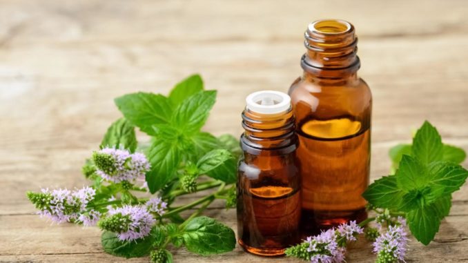 A Beginner’s Guide For Women Looking To Use Essential Oils