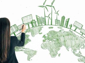 Business Ideas That Can Serve an Eco-friendly Lifestyle