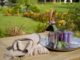 Calm & Content The Ways To Create A Relaxing Garden Space