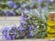 Can Rosemary Oil Speed Up Hair Growth?