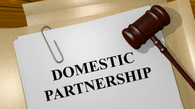 Domestic Partnership