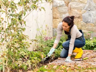 Don't Worry About Your Garden When On Vacation - Use These Tips Instead