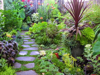 Eco-Friendly Cleaning of Your Garden