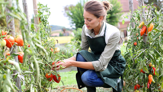 Find out Where You're Going Wrong with Your Garden