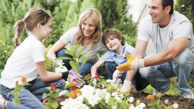Getting The Most Out Of Your Family Garden