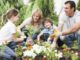 Getting The Most Out Of Your Family Garden