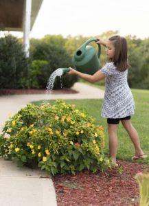 Introduce Your Kids to Gardening