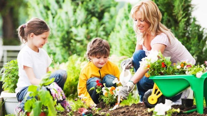 Introduce Your Kids to Gardening