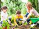 Introduce Your Kids to Gardening