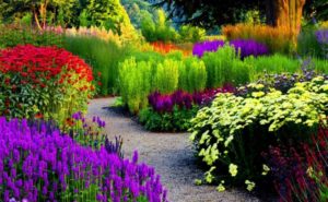 Make Your Garden Look Stunning With These Tips