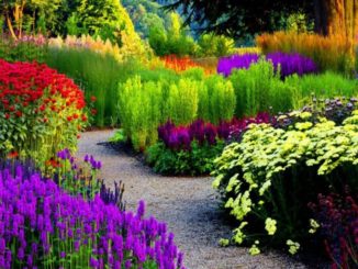 Make Your Garden Look Stunning With These Tips