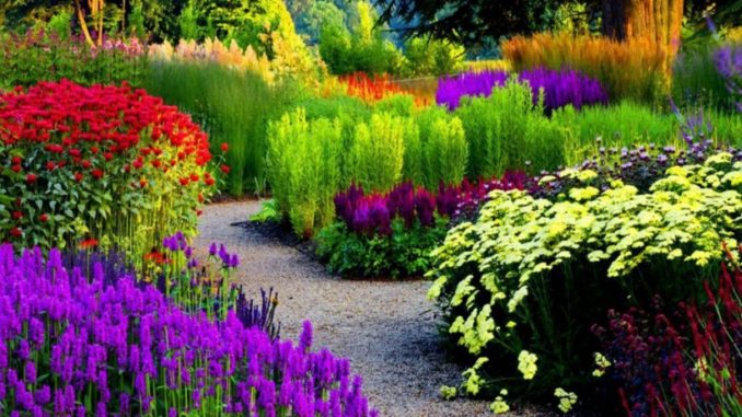 Make Your Garden Look Stunning With These Tips