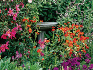 Plant A Wistful, Romantic-Style Garden with These Straightforward Strategies