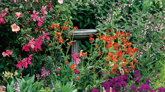 Plant A Wistful, Romantic-Style Garden with These Straightforward Strategies