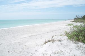 Sanibel Island Beach, Florida