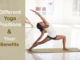 The Different Yoga Positions You Can Try and Their Benefits