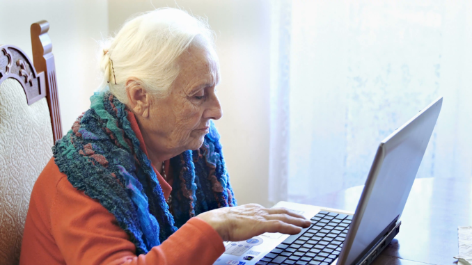 The Elderly & the World Wide Web