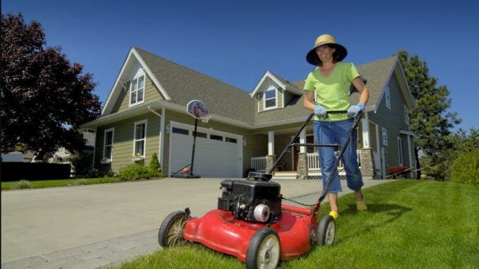 Top Tools and Equipment for Effortless Lawn Care