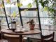 Updating Your Conservatory Ready For The Onset Of Spring