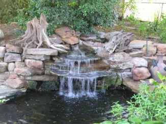 Why Add Water Features to Your Garden