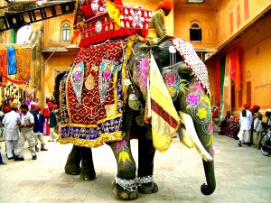 decorated elephant India