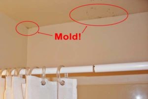 mold in your house