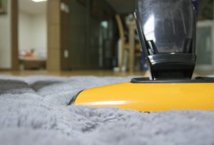 vacuum carpet