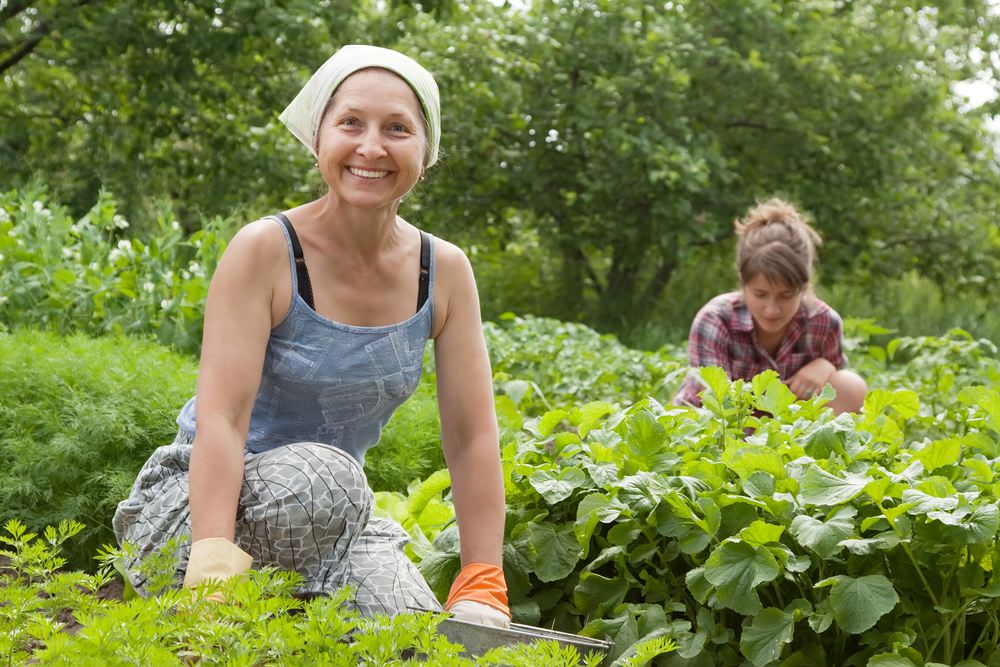 woman gardening